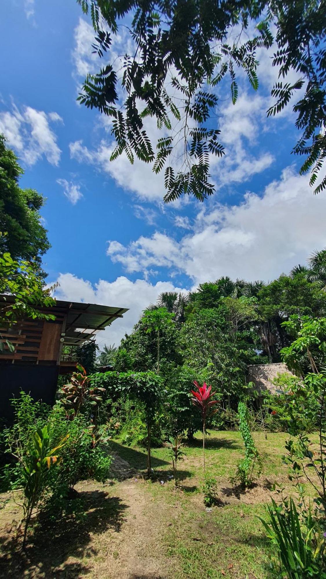 Amazona Lodge Leticia Exterior photo