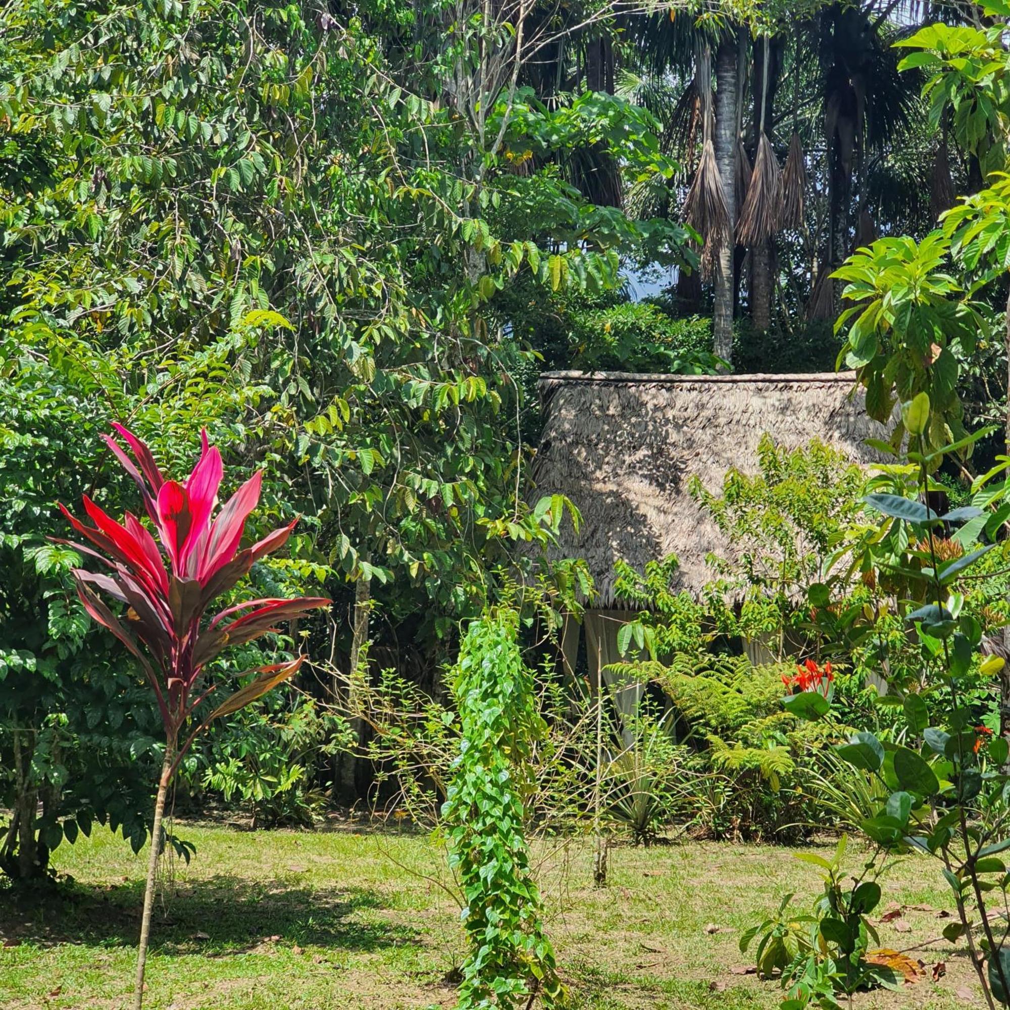 Amazona Lodge Leticia Exterior photo