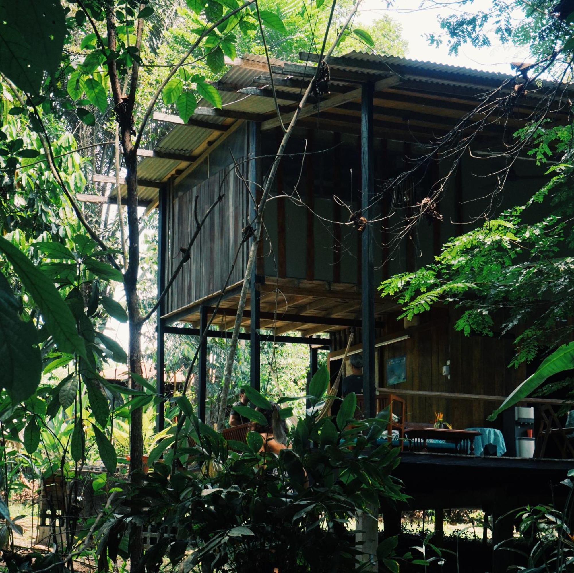 Amazona Lodge Leticia Exterior photo